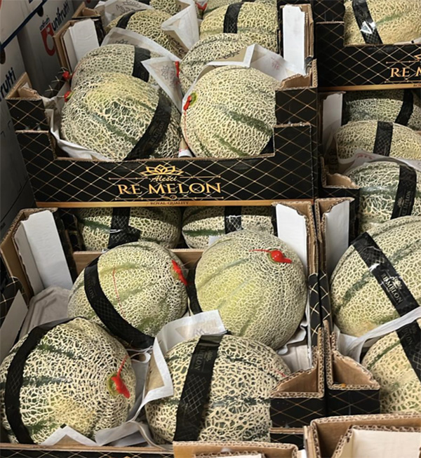 Melone retato - Sicilia - 1,60 euro al chilogrammo